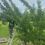Agriturismo I Tassoni 파불로넬프리그나노
