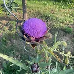 팜스테이 Agriturismo I Tassoni *