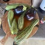 Agriturismo I Tassoni 팜스테이