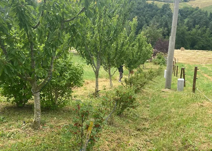 Agriturismo I Tassoni Pavullo nel Frignano
