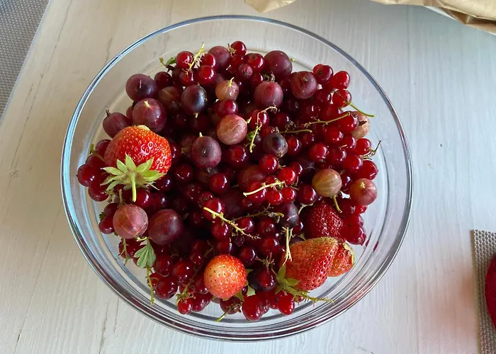 Agriturismo I Tassoni * Pavullo nel Frignano