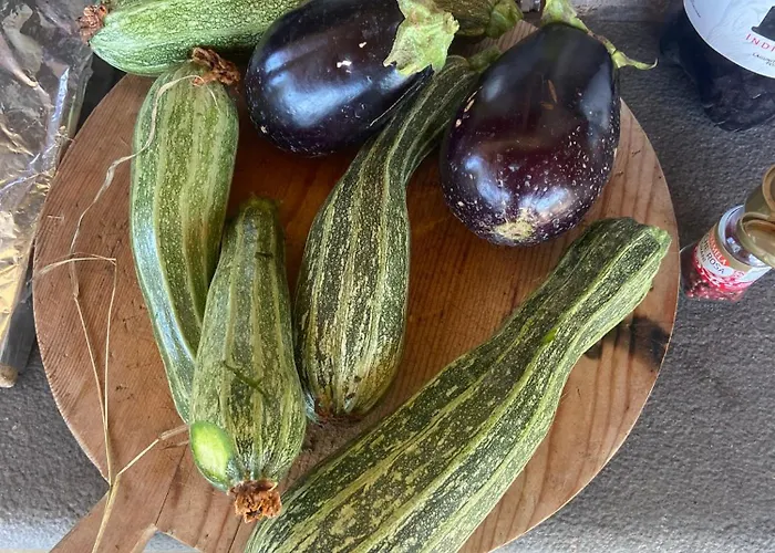 Agriturismo I Tassoni Farma