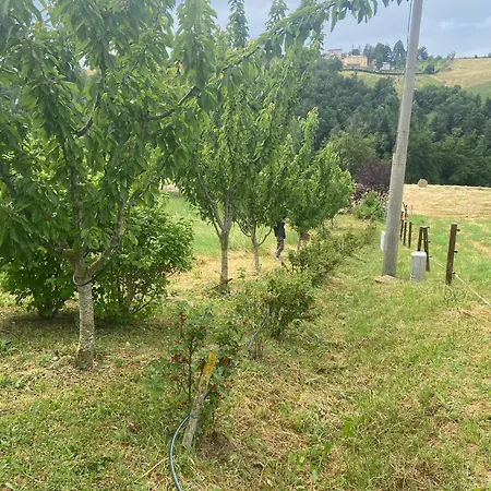 Agriturismo I Tassoni Павулло-нель-Фриньяно