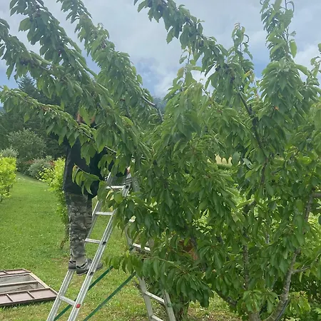 Agriturismo I Tassoni Павулло-нель-Фриньяно