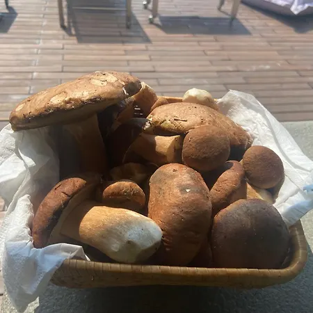 Agriturismo I Tassoni Павулло-нель-Фриньяно