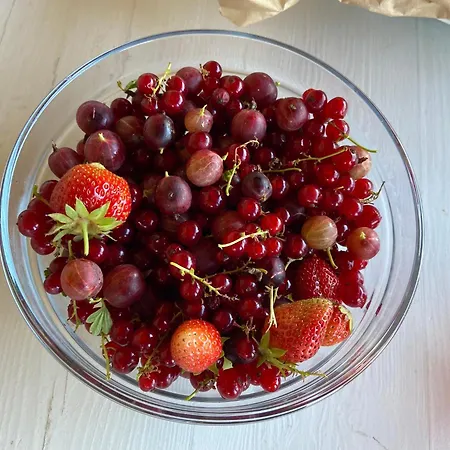 Agriturismo I Tassoni * Павулло-нель-Фриньяно