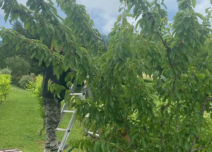 Agriturismo I Tassoni Pavullo nel Frignano