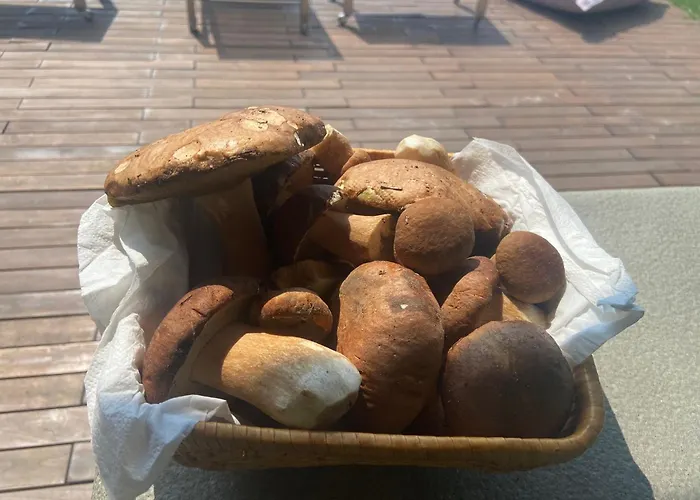 Agriturismo I Tassoni 파불로넬프리그나노