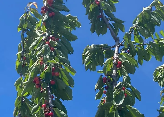 Farma Agriturismo I Tassoni Pavullo nel Frignano